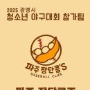 광명시립야구장 이미지