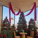 준우농장 | 도나스데이 본점 수원 크리스마스 카페 아이랑 갈만한 곳