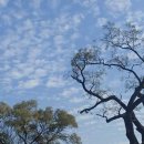 신영주번개시장 이미지