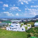 프린세스애견 이미지