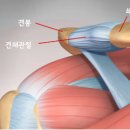 서울제일병원 이미지