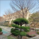 가나조경 이미지