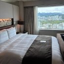 삼부슈퍼 - 중랑구 | 부산 호캉스 | 롯데호텔 부산 클럽플로어 프리미엄룸 내돈내산 (수영장 후기)