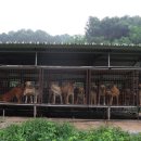 맹호농장 이미지