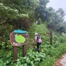 두미민박 이미지