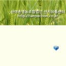 산야촌