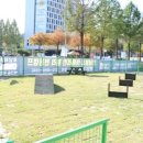 우리켄넬 이미지