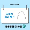 태평역 동물병원 이미지