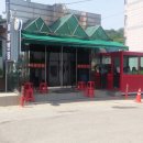 목화반점 이미지