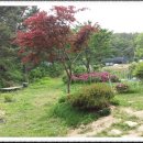 청미래산장 이미지