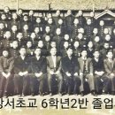 강서초교 이미지