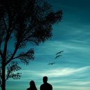 100가지의 사랑 이미지