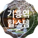 주열마니아 네이버블로그