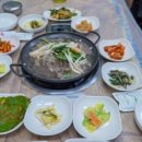 보성녹차돼지 이미지