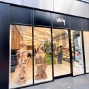 삿포로 스투시(Stussy) 매장 방문후기 및 스투시 모자, 빅 스톡 미드뎁 캡 구매후기, 스투시 모자 사이즈