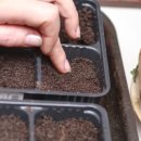 (주)현대에프엔씨 이미지