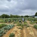 기흥2농장 이미지