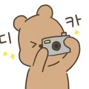 로얄싸롱