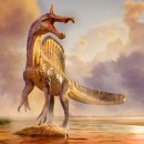 READ n PLAY(For Book Quiz) 이미지