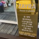 자이라플라워인동점
