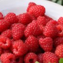 산딸기 효능 이미지