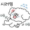 해밀여행 이미지