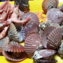 홍집농장 이미지