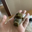 착한강아지 이미지