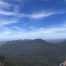 블루마운틴 이미지