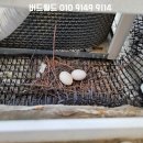 수진마을2단지 이미지