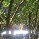 강동로5-8 이미지