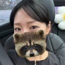 마리헤어(MARY HAIR) - 강북구 | [공지] W15. 대망의 드레스투어(조슈아벨브라이덜, 마리에드오늘, 스띨레디허)