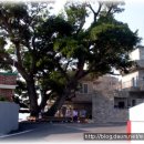 대포리마을회관 이미지