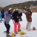 라고비스타 이미지