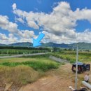 백사 체육공원 족구장 이미지