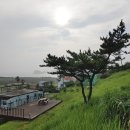 G1361 이미지