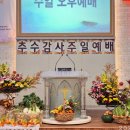 2024년 11월 추수감사절 성전 꽃꽂이 - 샛별꽃동산교회 이미지