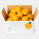 깨비하우스 | [깨비농원] 제주 하우스감귤 4kg 중대과 // 구매 후기