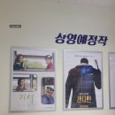 [일상기록]삼척 가람 작은영화관 방문 후기
