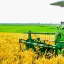 용중농장 이미지