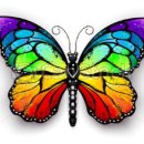 나비천사 이미지