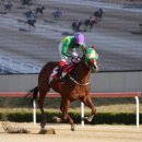 더비파크 이미지