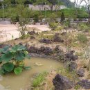 조원도서관 이미지