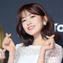 댕댕타임 이미지