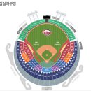 경기수건춤 | [잠실구장]4월 11일 엘지VS두산 잠실더비경기직관후기/외야그린석 419블록 시야