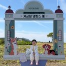 신화F&B | 제주 신화월드 랜딩관 7만원대 특가, 아이랑 가기 좋은 제주 숙소 비교 후기
