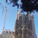 [유럽 가족여행]스페인 바르셀로나 사그라다 파밀리아(Sagrada Familiaㆍ성가족성당)▶ 자연ㆍ곡선의 조화로부터 가우디를 만난다. 이미지