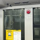 대성탕 | 2024년 7-8월 (노스페이스 퍼플라벨 샌들, 누어뷰 프로, 부산 대성관, 영월 곤드레밥)