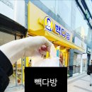 에이원프라자 | 빽다방 부산서면에이원프라자점 방문후기｜원조커피 빽사이즈 솔직 후기