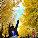 문경새재주유소 이미지